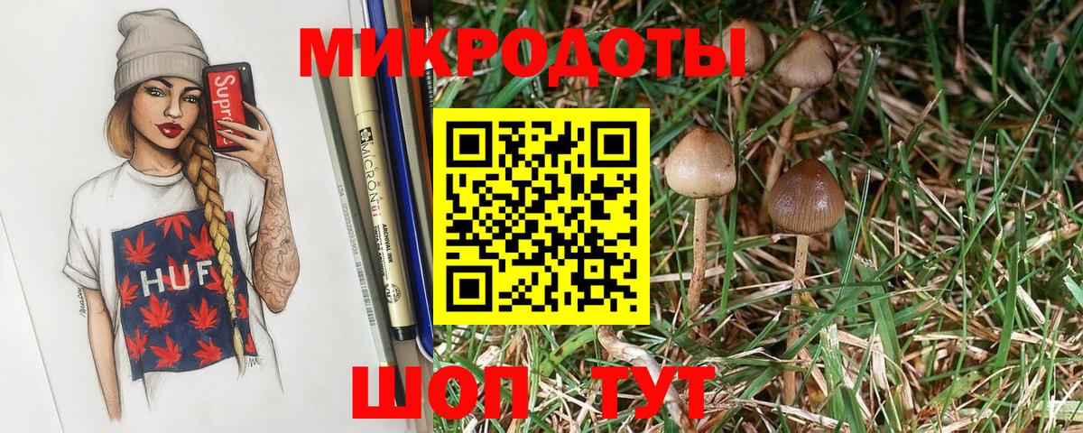 Галлюциногенные грибы MAGIC MUSHROOMS Боровичи