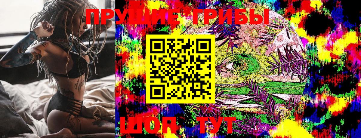 Боровичи  Псилоцибиновые грибы ЛСД  Вход с VPN 