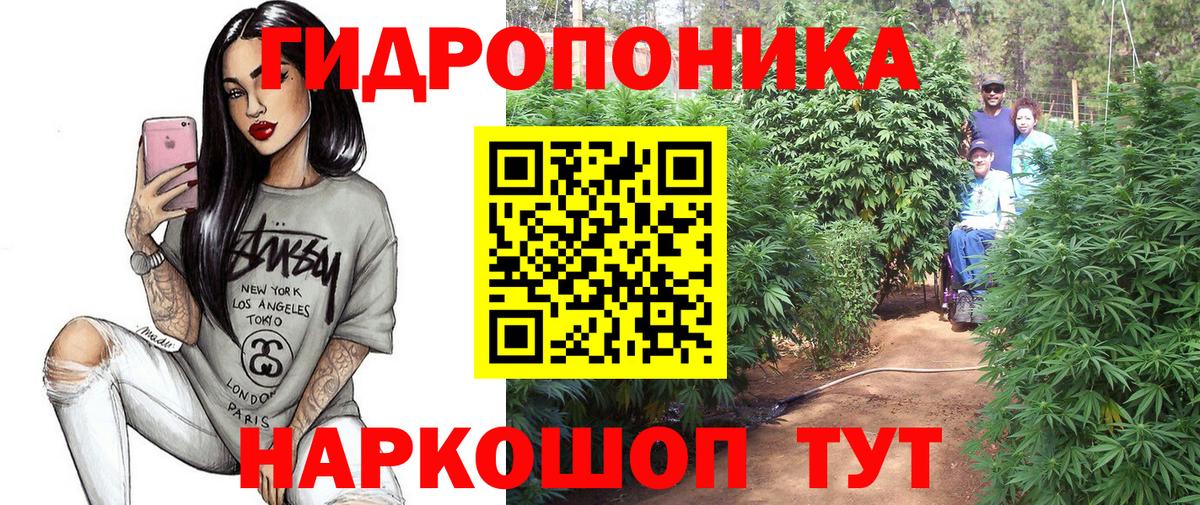Каннабис план  Вход с VPN  Канабис MAZAR  Боровичи  Бошки марихуана THC 21% 